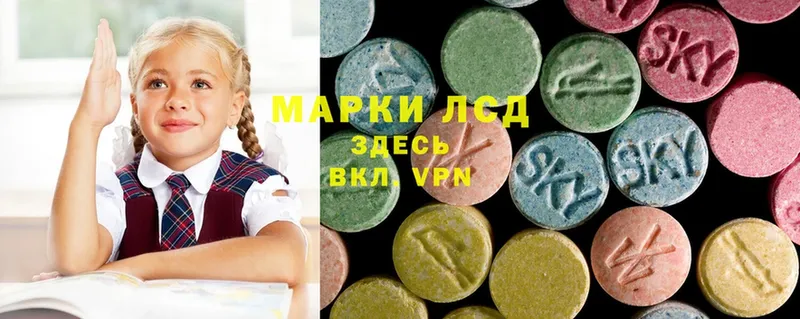 ЛСД экстази ecstasy  хочу   Каргат 